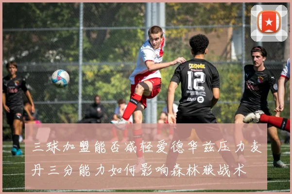 三球加盟能否减轻爱德华兹压力麦丹三分能力如何影响森林狼战术