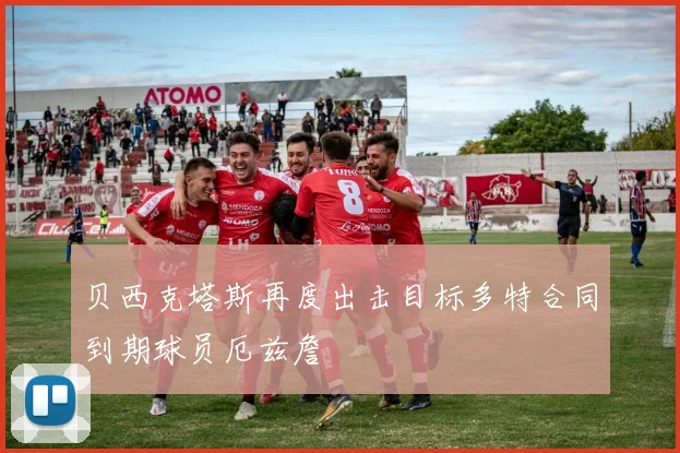 贝西克塔斯再度出击目标多特合同到期球员厄兹詹